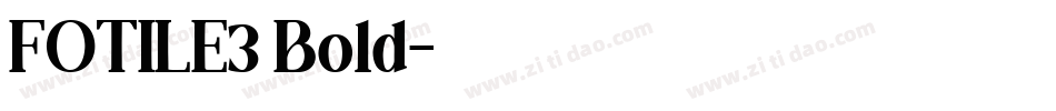 FOTILE3 Bold字体转换